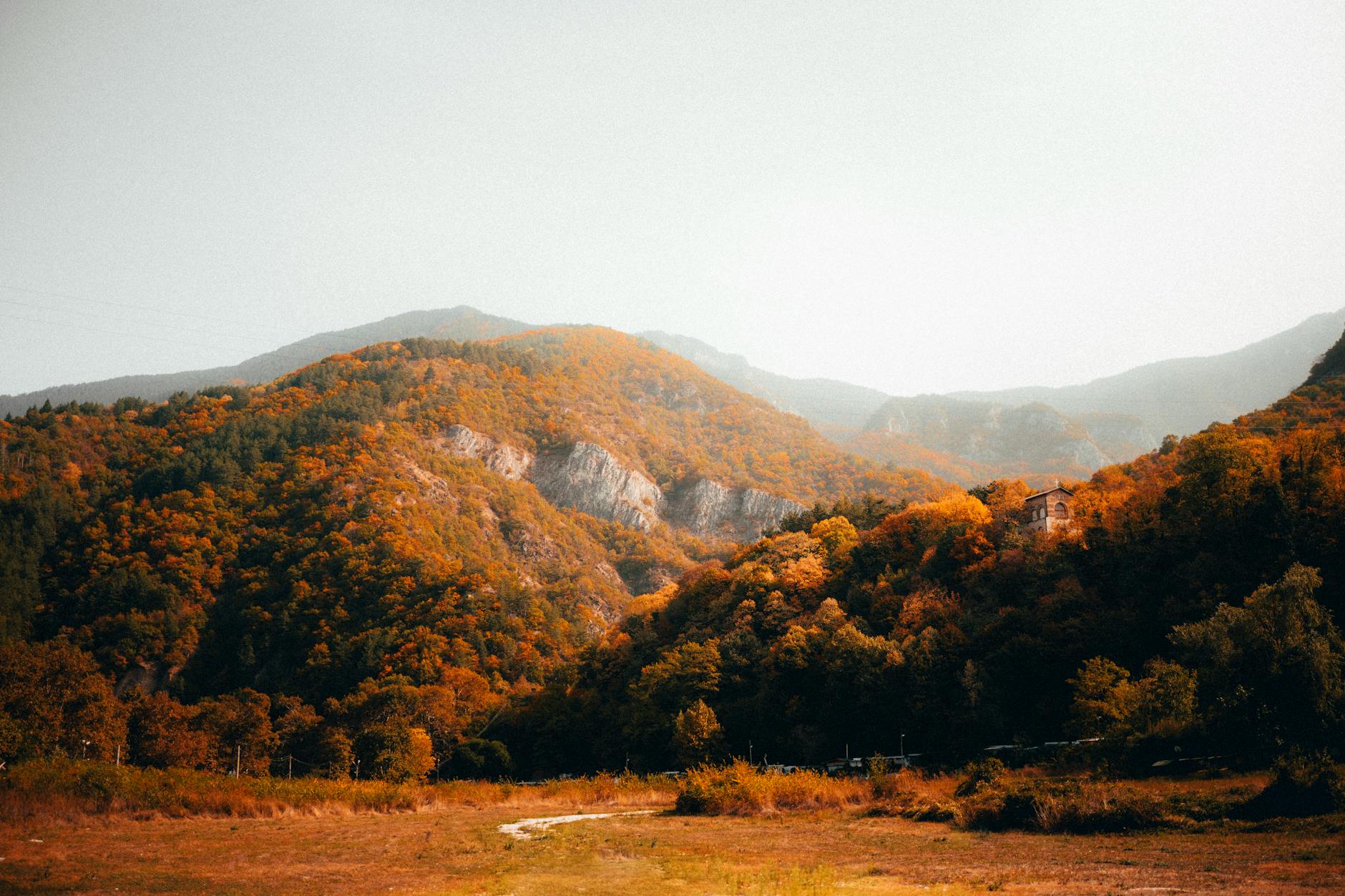 Vibrant autumn colors in the Rhodope Mountains, Smolyan, Bulgaria.
