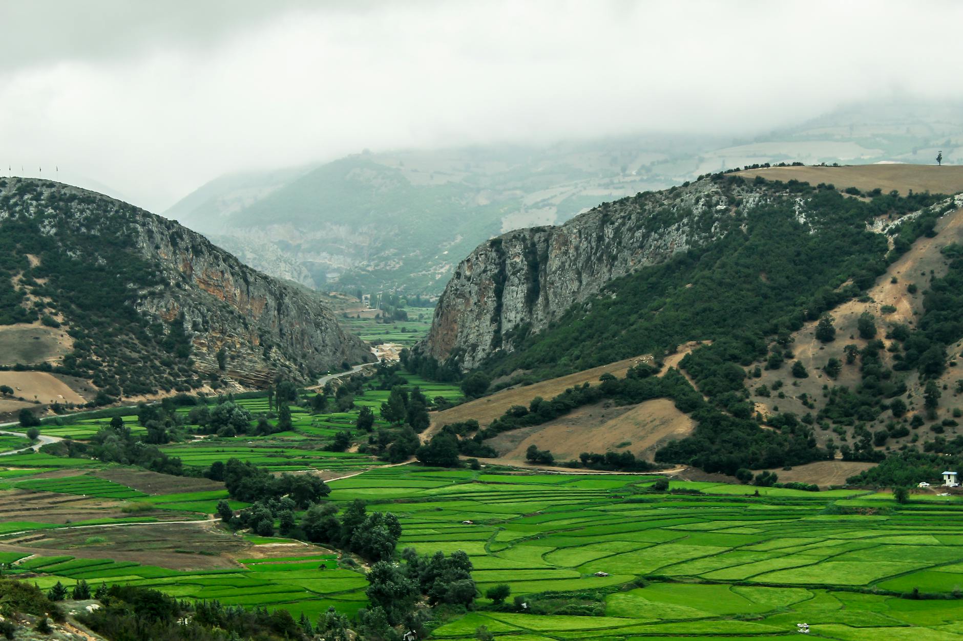 Serene view of a lush green valley surrounded by hills under a cloudy sky, showcasing the beauty of rural life.